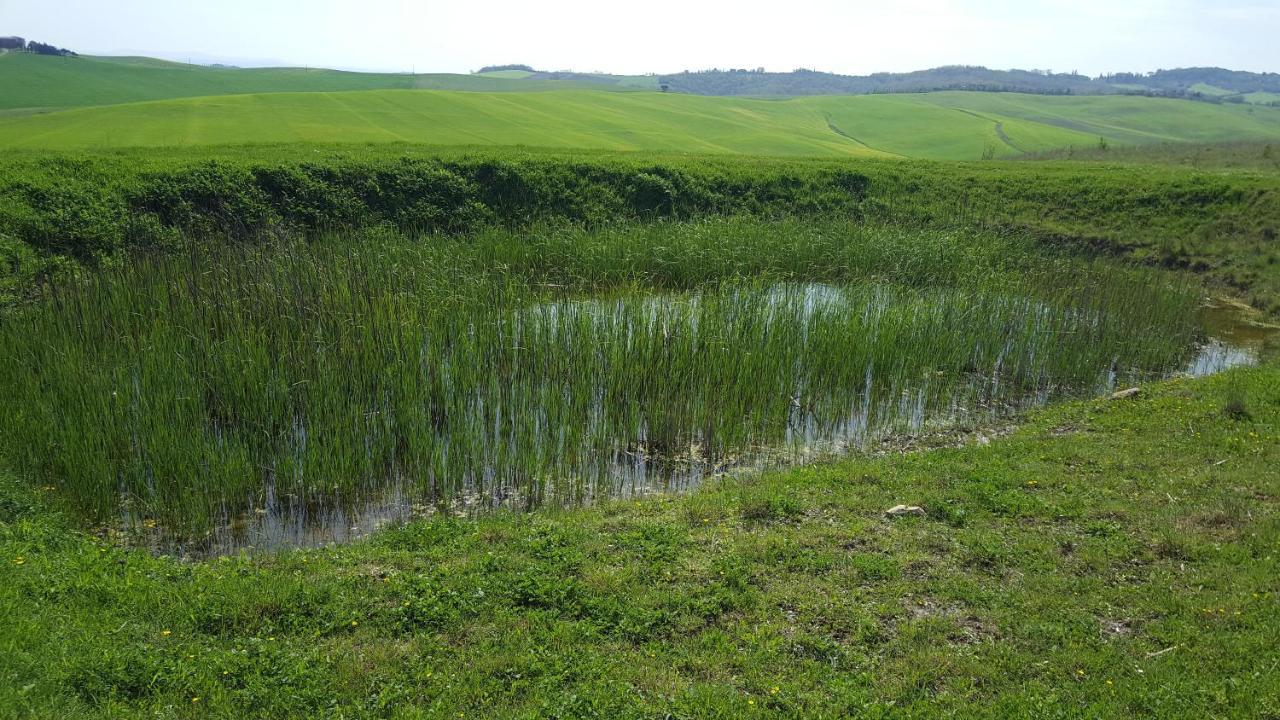Dago Farmhouse 锡耶纳 外观 照片