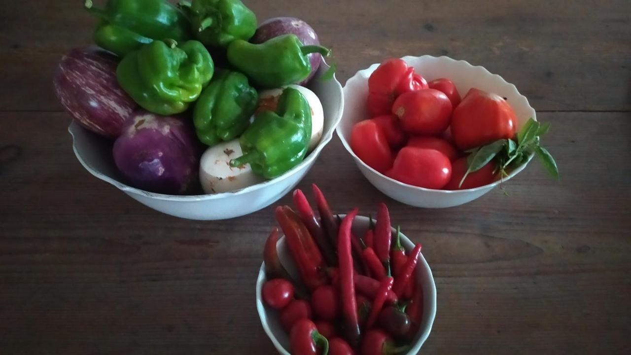 Dago Farmhouse 锡耶纳 外观 照片
